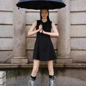 Chic Black Sleeveless Round Neck Dress for Women