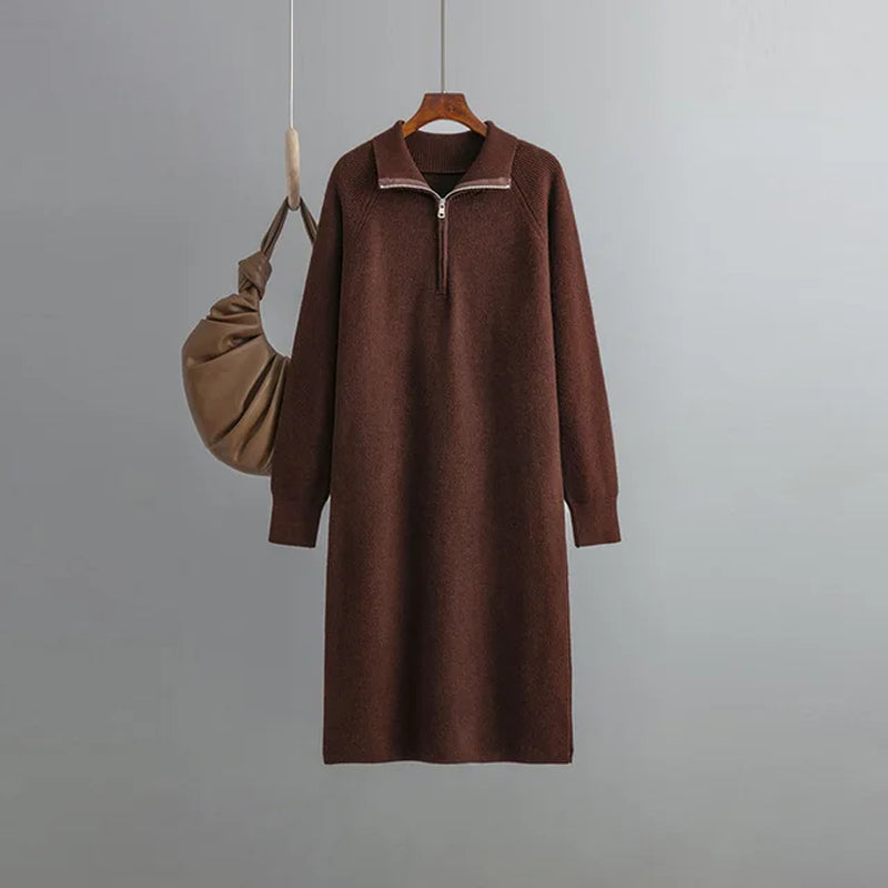 Cozy Thick Knit Turtleneck Sweater Dress for Women