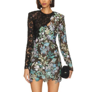 Elegant Embroidered Lace Mini Dress for Parties & Clubs