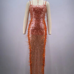 Elegant Orange Sleeveless Bodycon Dress with Feathers and Beading