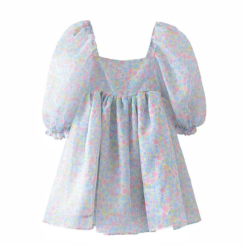 Sweet Floral Mesh Dress with Fluffy Skirt